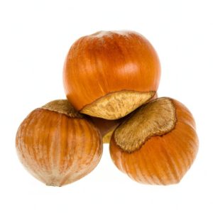 فندق تازه